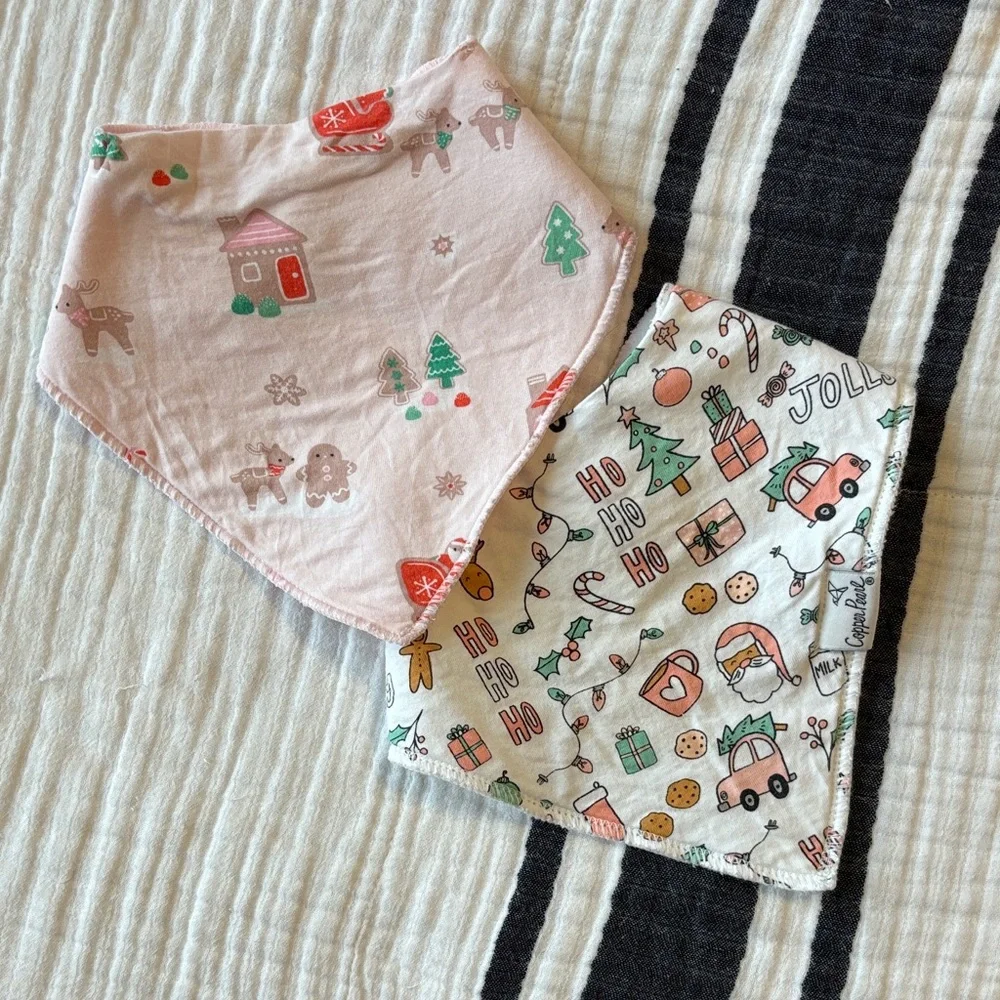 Holiday Pink Baby Bib Set